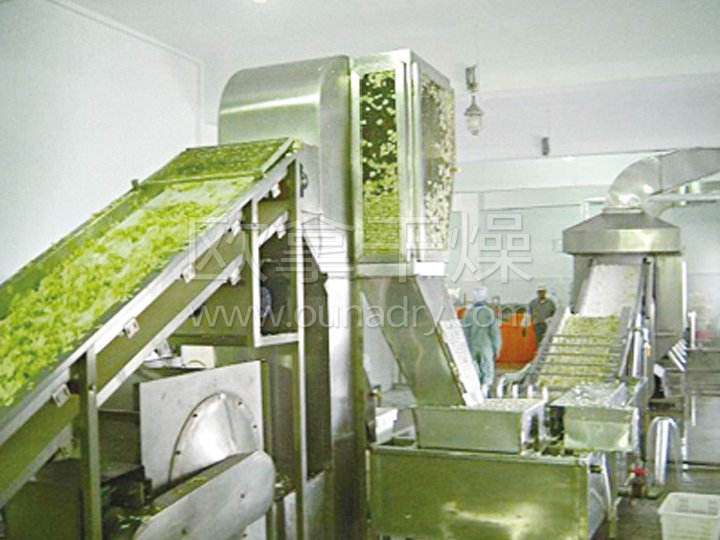 DWC Dehydrated Vegetables Belt Dryer